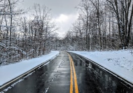 Wet two-lane road with a double yellow line between snowy banks and bare trees
